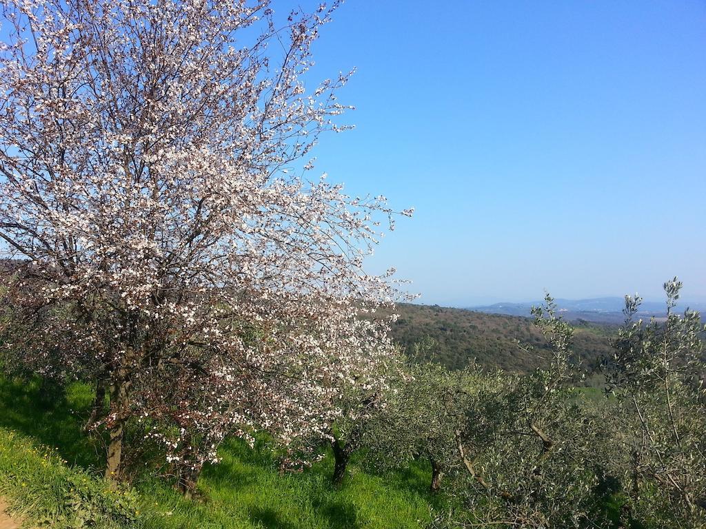B&B La Casa Di Zefiro Limite Esterno foto